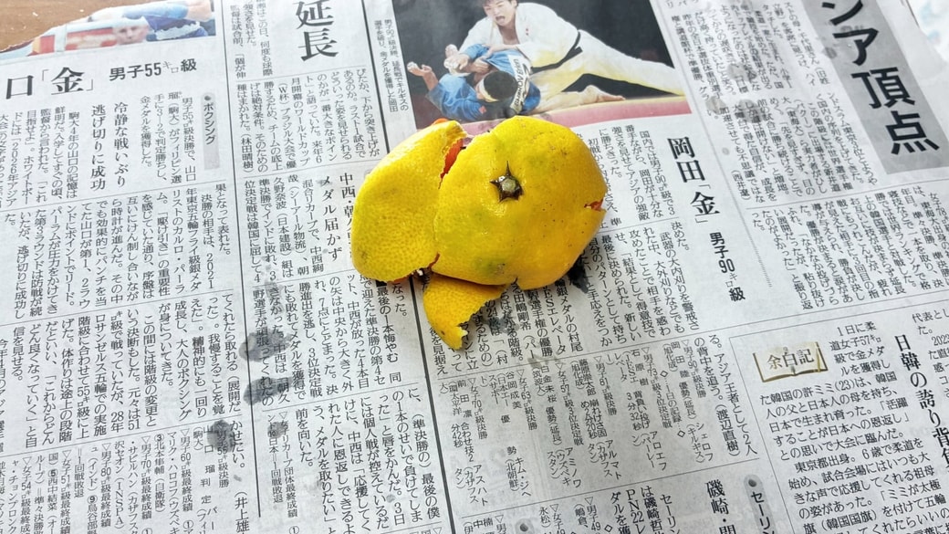 生ゴミと新聞紙の上に置いている様子