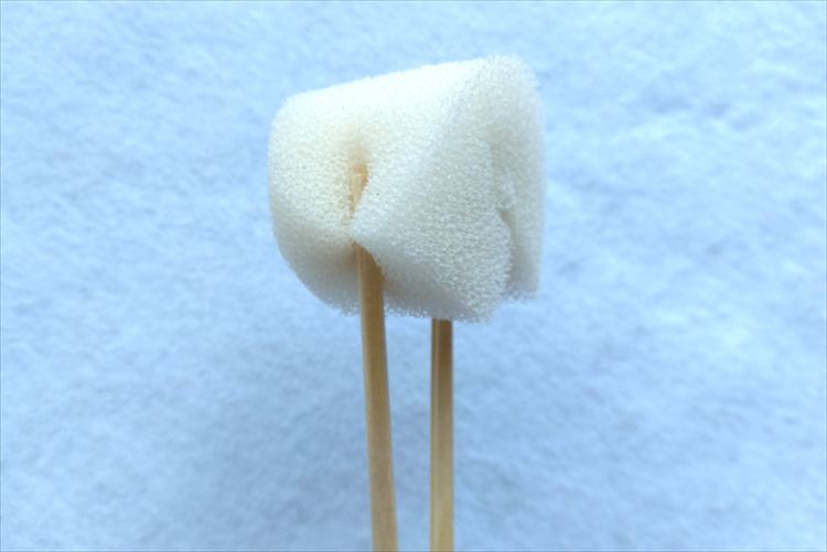 割り箸でスポンジを挟んだところ