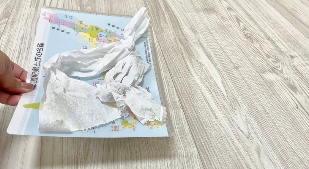 ほうき代わりになる