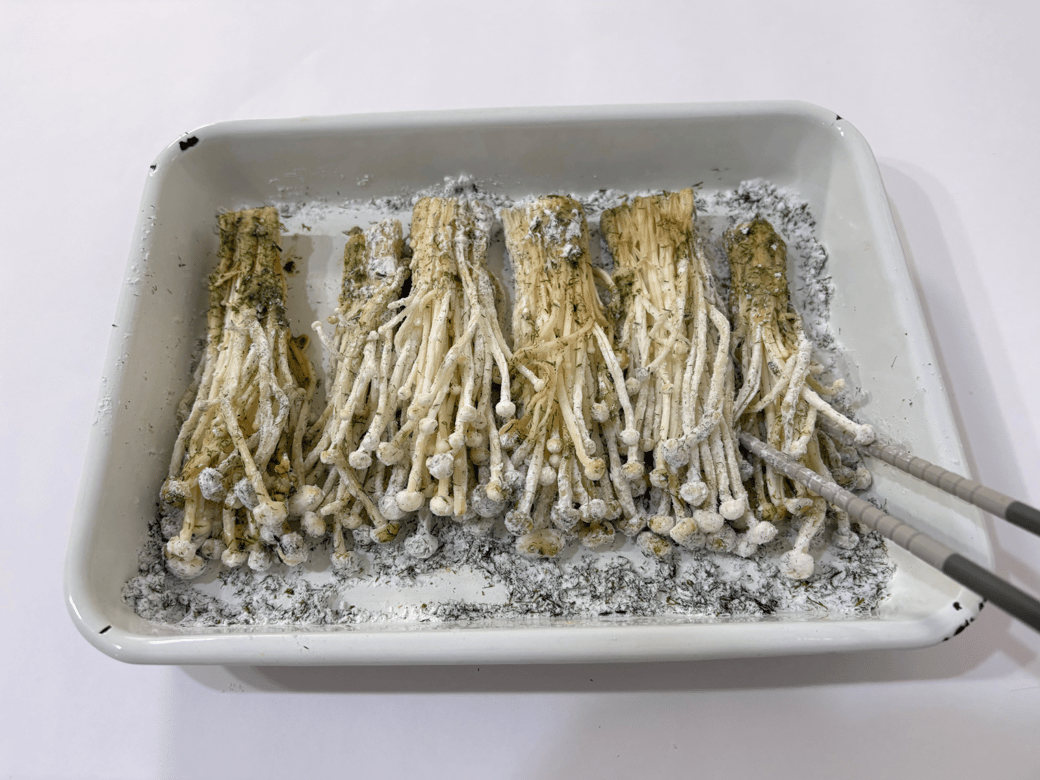 片栗粉と青のりを混ぜたものをまぶす