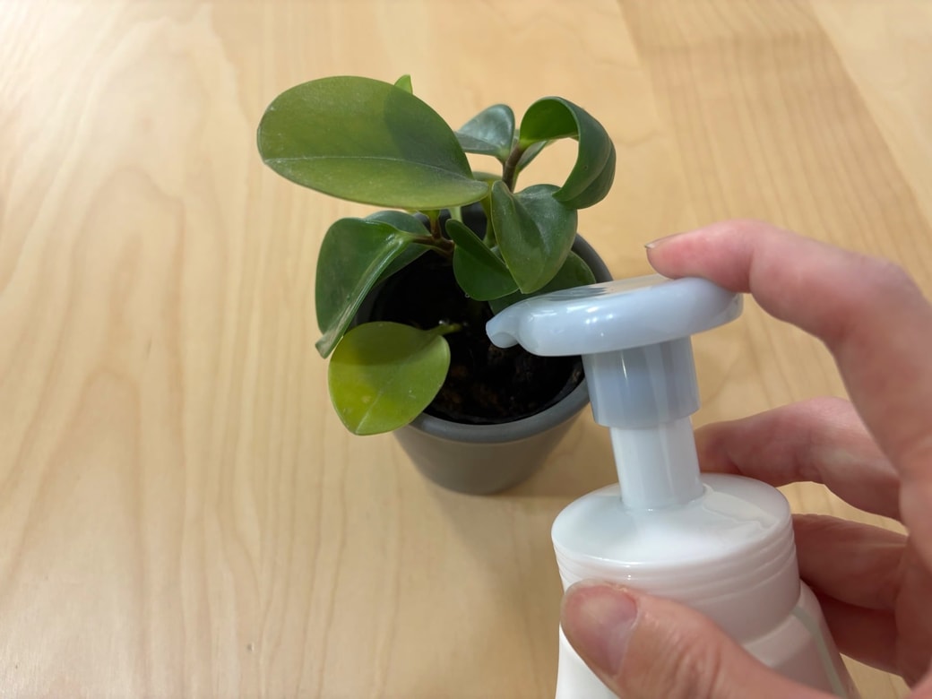観葉植物の水やりに使う