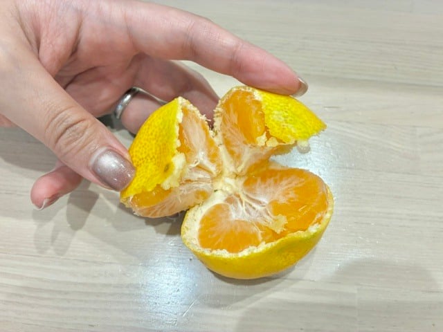 さらに半分に割る