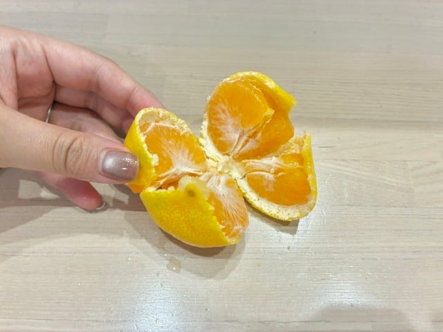 4等分にする