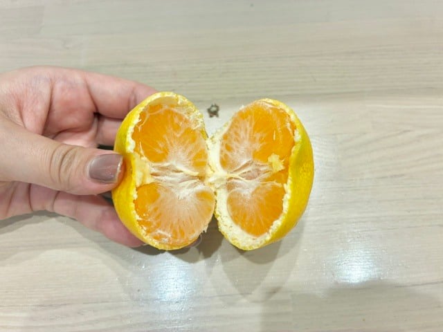 半分に割る