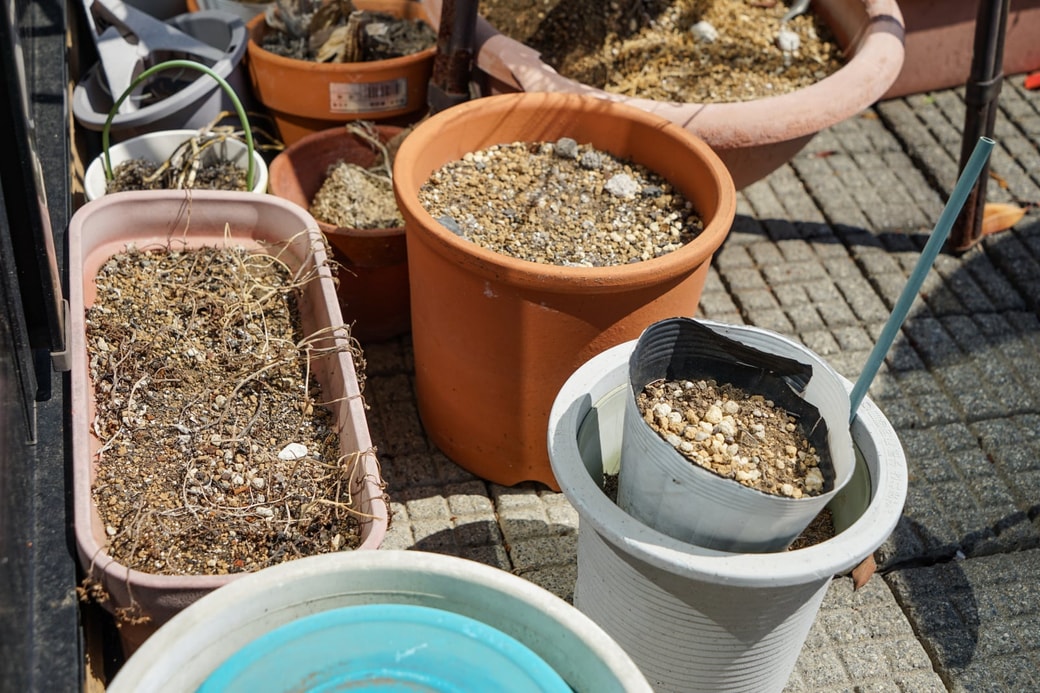 対策その2.植木鉢などを動かして、下や裏側まで掃除する