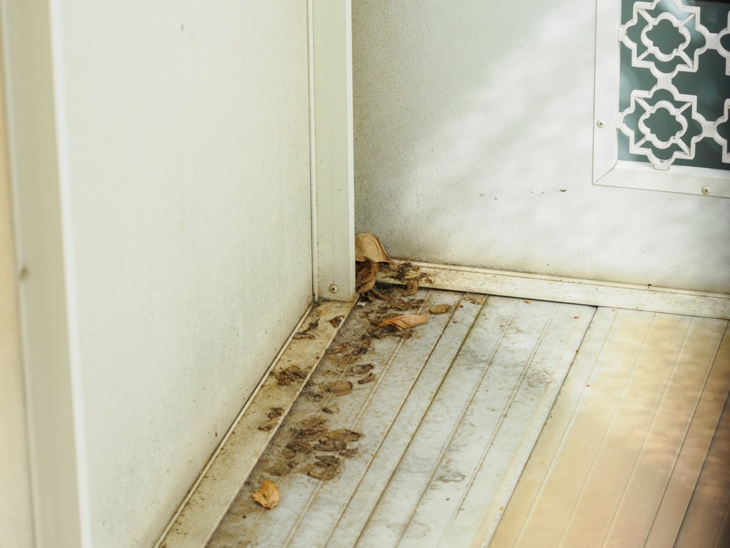 対策その1.ベランダの落ち葉や枯れ葉をためない